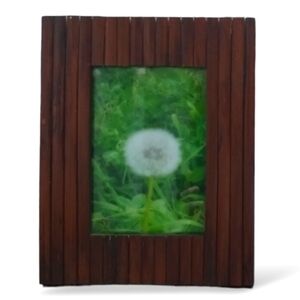 Original Signed Art Photography 'Dream Dandelion' Vintage Wood Frame